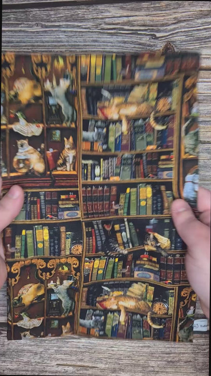 Pochette à livre - Chat bibliothèque vintage